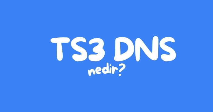 TS3DNS Nedir?