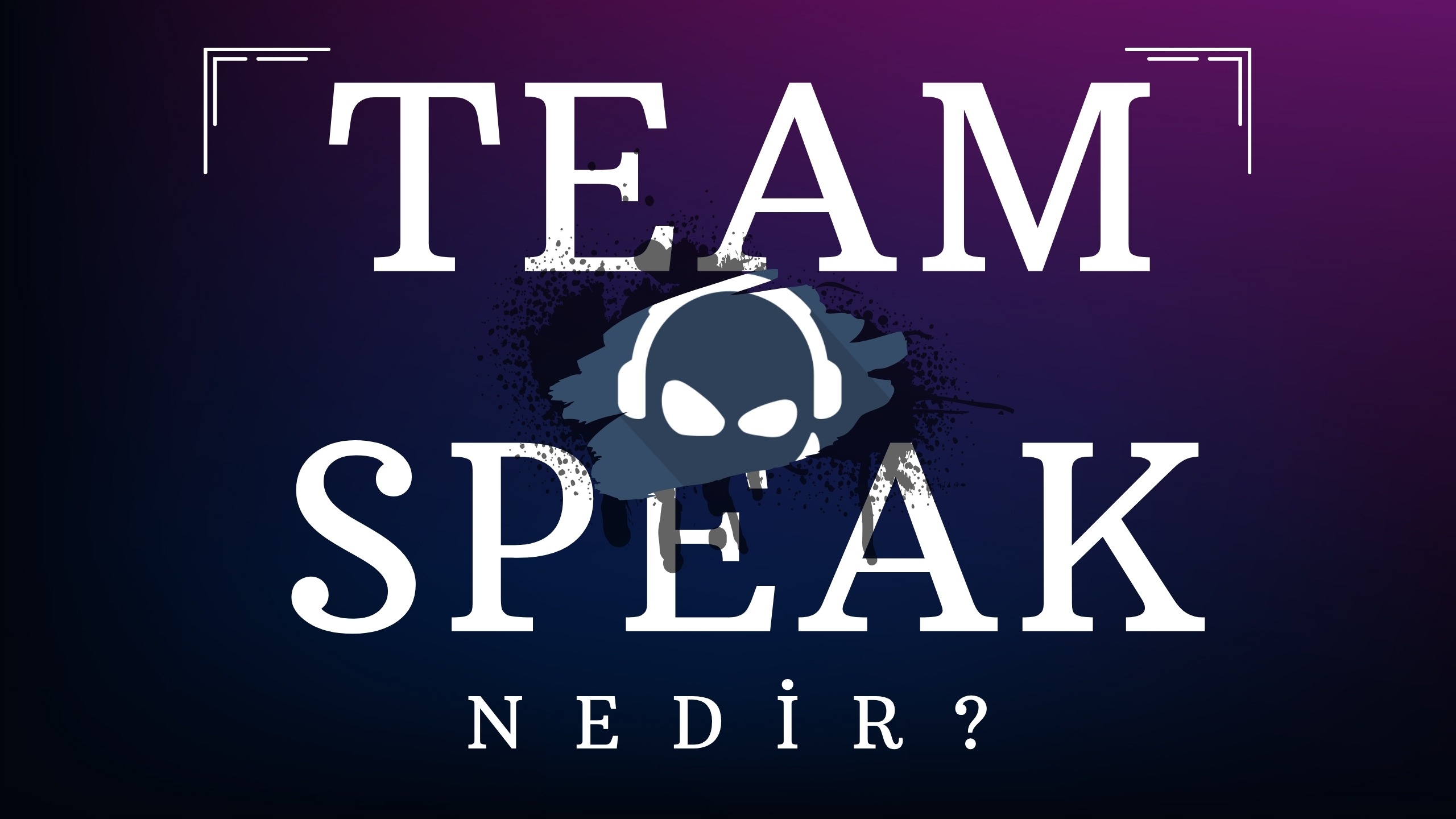 TeamSpeak Nedir?