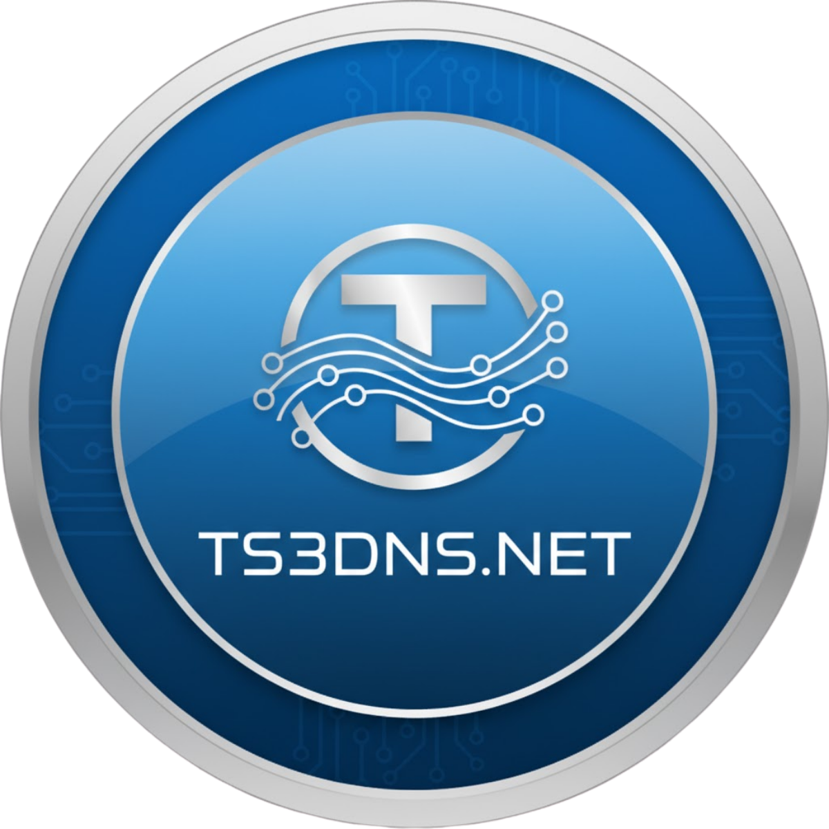 TeamSpeak IP'lerini Ezberlemeye Son! TS3DNS.net ile Profesyonel Adrese Geçin.